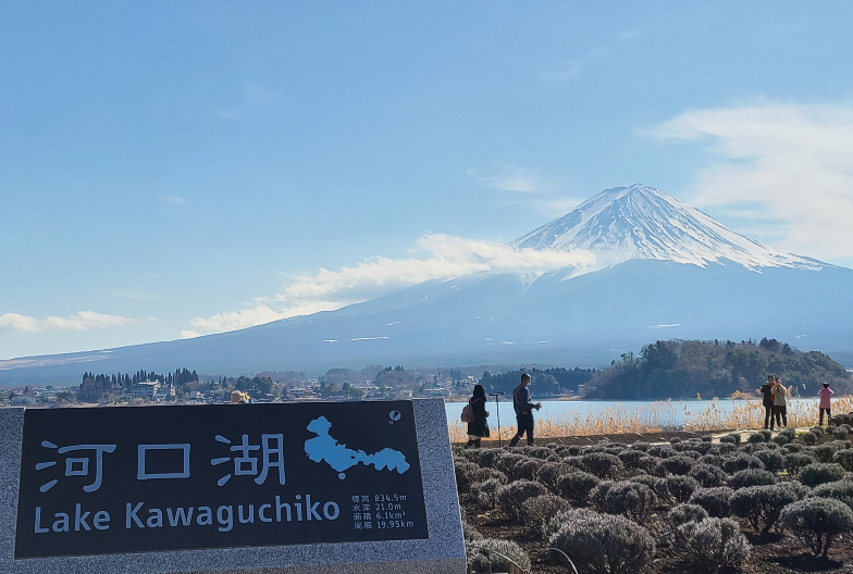 大石公園著名的全長350公尺花街道與富士山