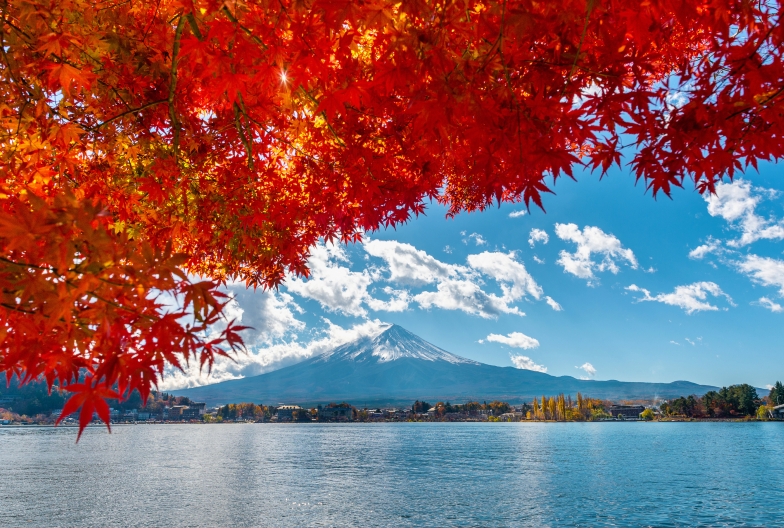 View of Mt. Fuji across Lake Kawaguchiko.