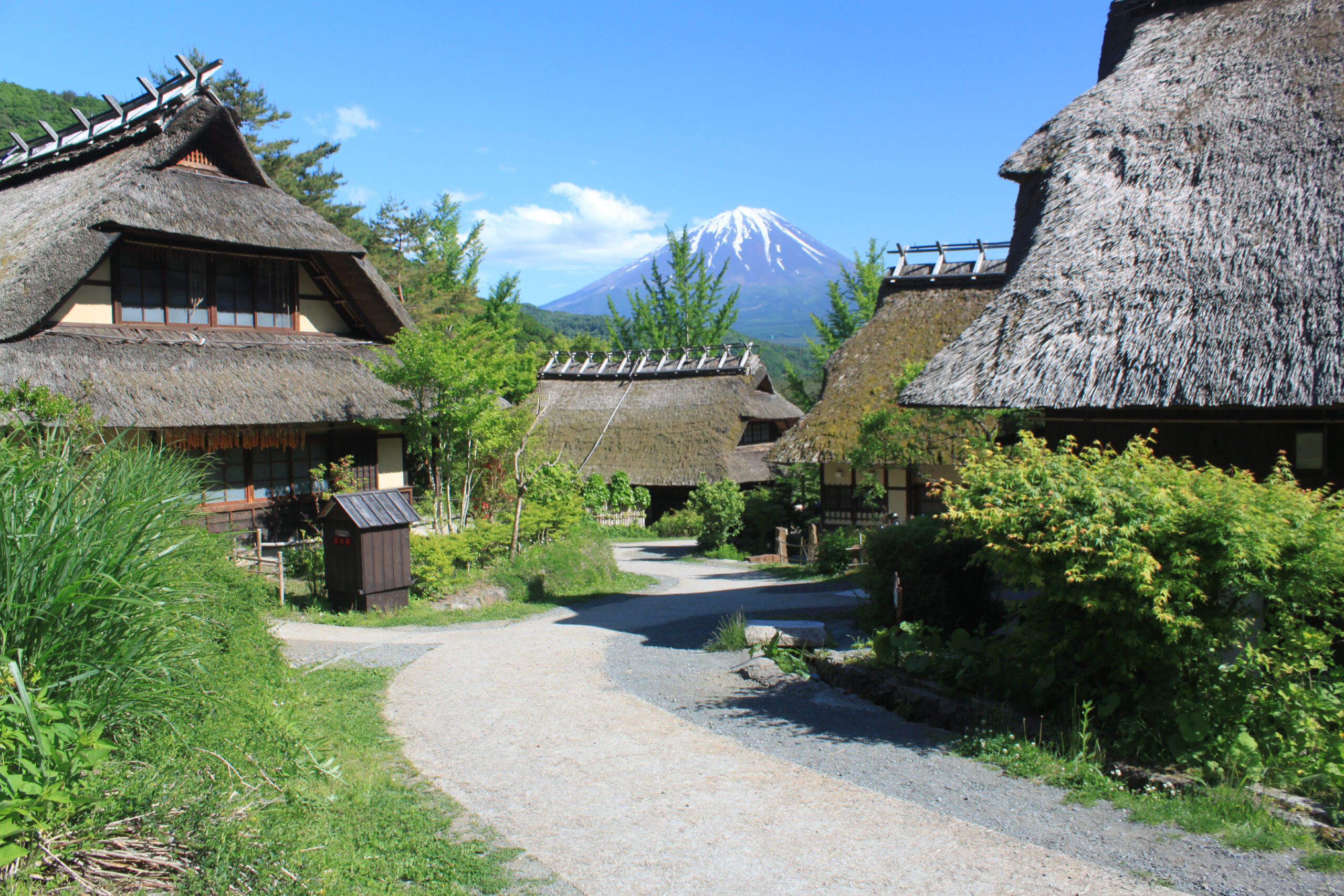 西湖根場的田園風光