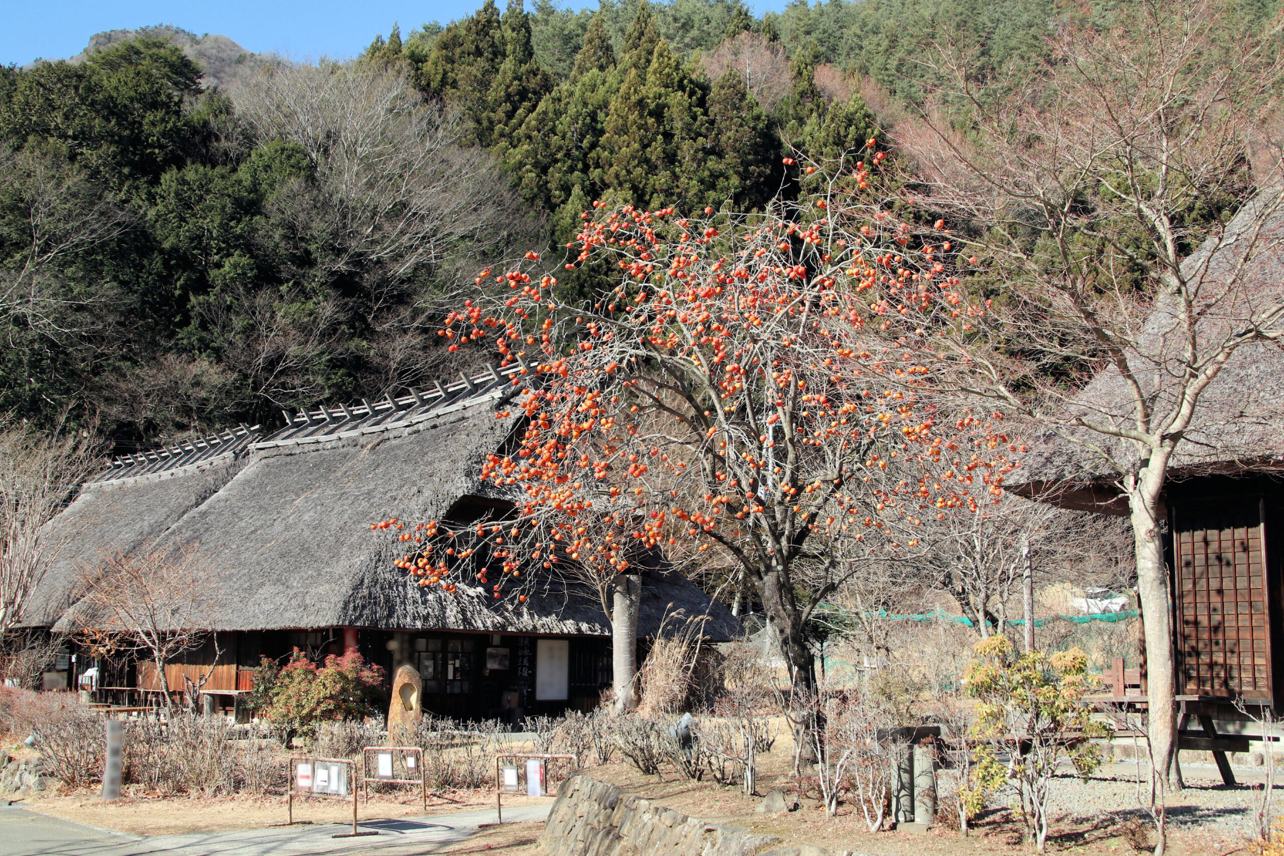 眺望西湖根場聚落全景
