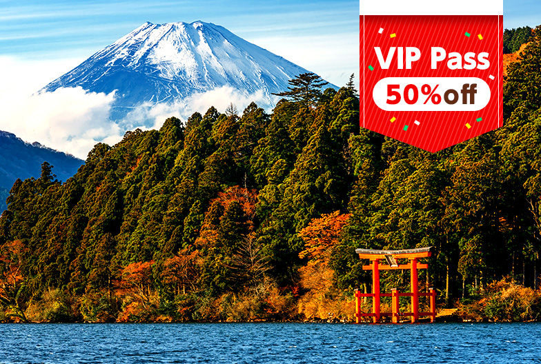 【50% Off】Hakone・Kawaguchiko Day Tour|Tokyo Dep