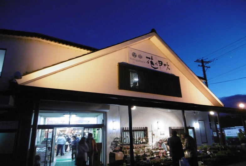 Sekigahara花伊吹 日本旅之行tabiaruko