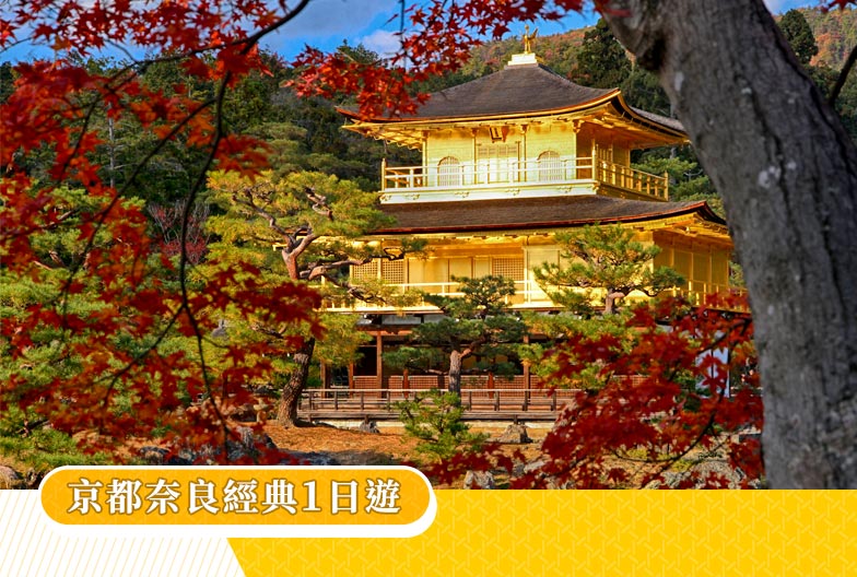 【一人成團】京都奈良經典一日遊｜金閣寺・嵐山・伏見稻荷大社・奈良公園
