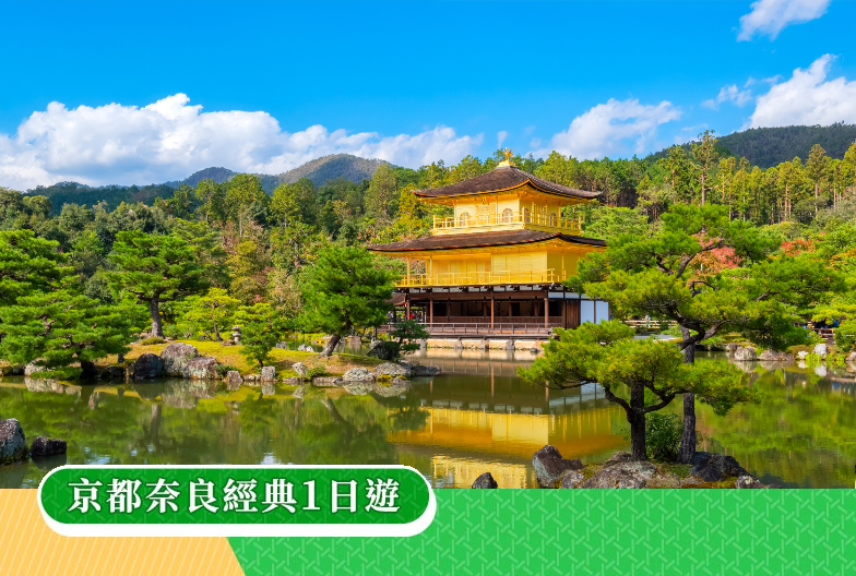 【春日輕旅行・一人成團】京都奈良經典一日遊｜金閣寺・嵐山・伏見稻荷大社・奈良公園