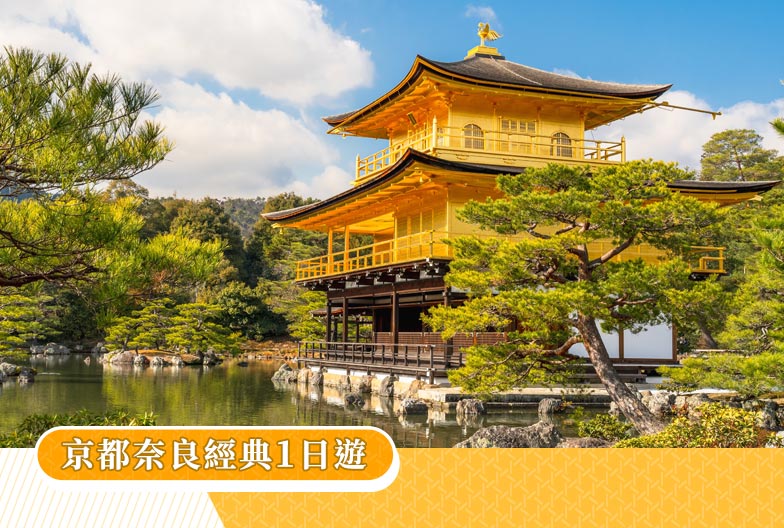 【一人成團】京都奈良經典一日遊｜金閣寺・嵐山・伏見稻荷大社・奈良公園