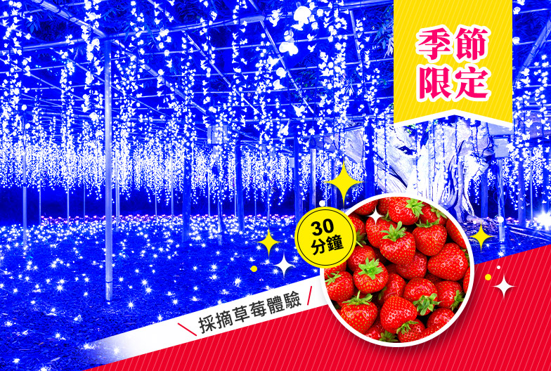 【季節限定】採摘草莓&足利花卉公園一日遊|東京出發