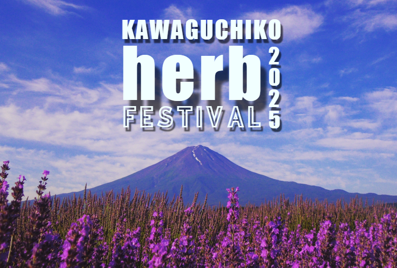 富士山與薰衣草花田