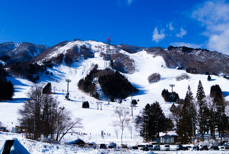 新宿出發｜苗場滑雪場一日遊 (含6小時纜車券・來回巴士直達・停留7小時)