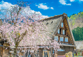 pic-list-filter-ticket-set2-03