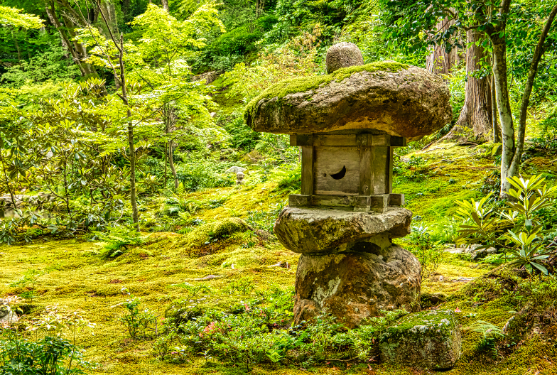 三千院青苔庭園
